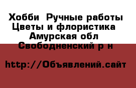 Хобби. Ручные работы Цветы и флористика. Амурская обл.,Свободненский р-н